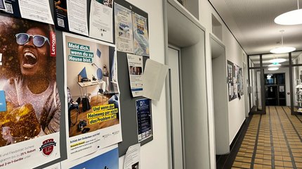 Die Bürgermeisterin von Walsrode und Mitarbeiterinnen und Mitarbeiter unterschiedlicher Einrichtungen vor einer Holztreppe.